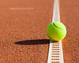 celebrity fan voucher templates fan cards tennis template 8x10